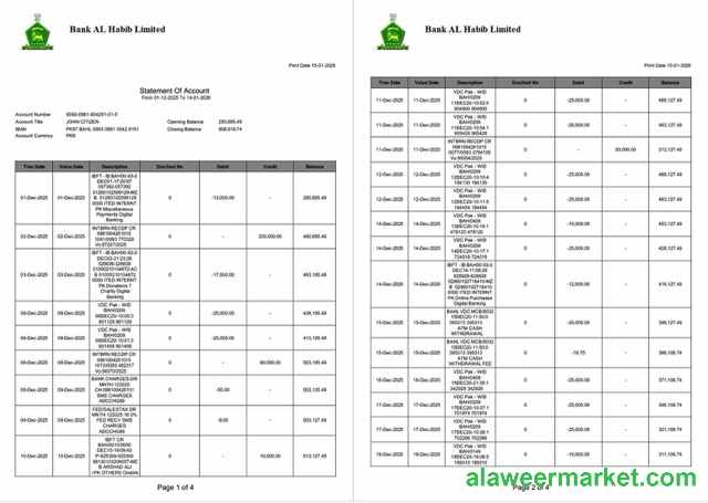 Pakistan Bank Al Habib statement of account Word and PDF template, 4 pages, 1-2 pages